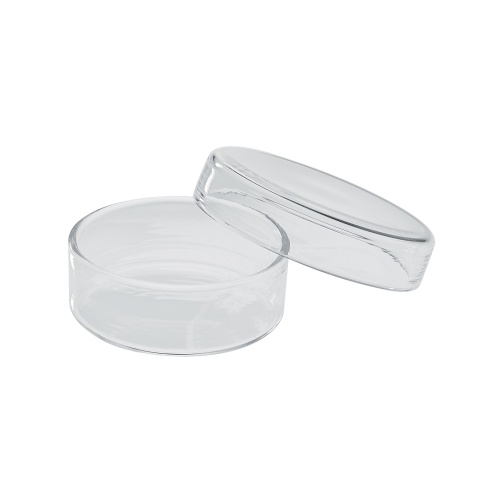 Petriho miska 60mm 1ks