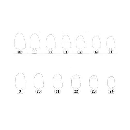 10-Polykarbonátové korunky 5ks