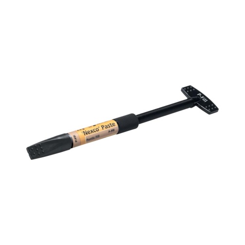 SR Nexco Pontic Fill refill 2,5g