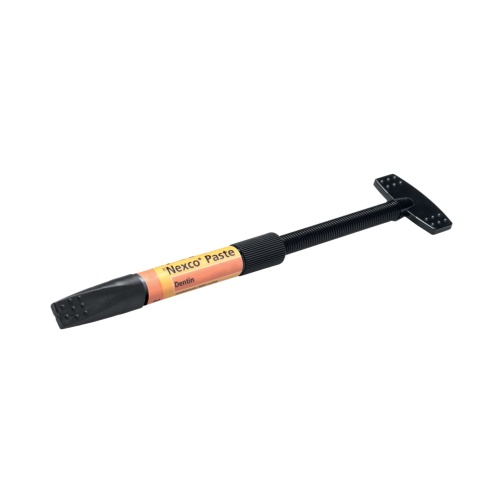 SR Nexco Paste Dentin 2,5g D3