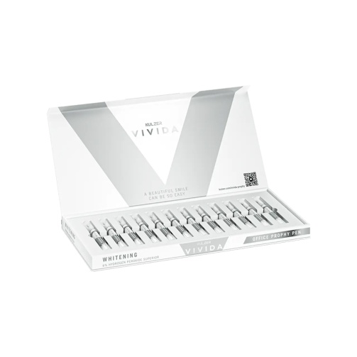 Kulzer Vivida Office Prophy pen 6% HPS