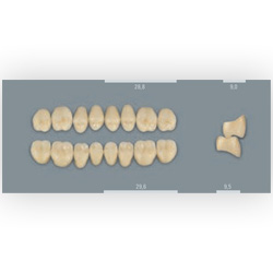 Vita zuby MFT 2L1,5 PU29 (B2) zadní horní 8ks