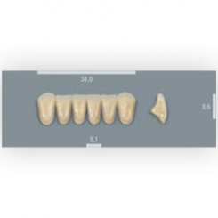 Vita zuby MFT 2L1,5 L34 (B2) přední dolní 6ks