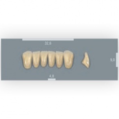 Vita zuby MFT 3M2 L33 (A3) přední dolní 6ks
