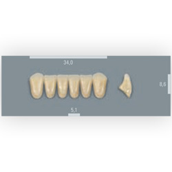 Vita zuby MFT 3R2,5 L34 (A3,5) přední dolní 6ks