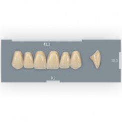 Vita zuby MFT 3L2,5 T43 (B3) přední horní 6ks