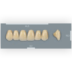Vita zuby MFT 4M2 R45 (A4) přední horní 6ks
