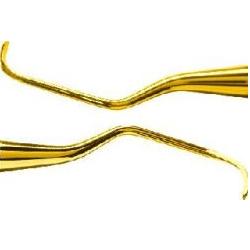 Kyreta Gracey XP Access GA 5-6XPX