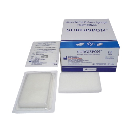 Surgispon Regular houbičky (7x5x1cm) 10ks