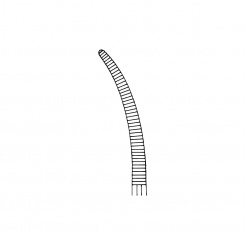 Svorka Rochester-Pean na cévy zahnutá; 14,0 cm