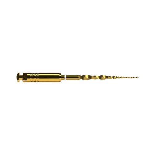 ProTaper Ultimate SX 19mm 6ks
