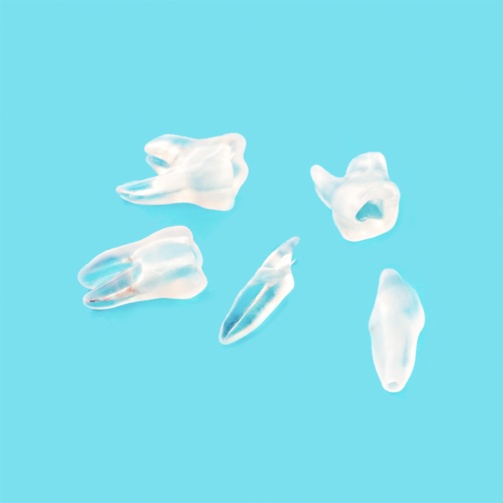 MTA Training tooth horní řezák 2111-1A2 PCL